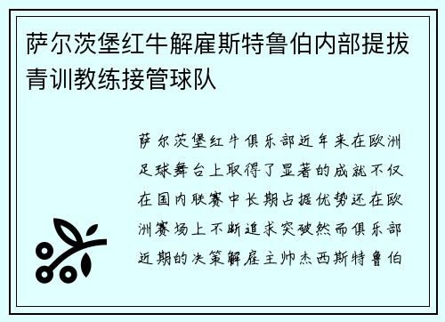 萨尔茨堡红牛解雇斯特鲁伯内部提拔青训教练接管球队